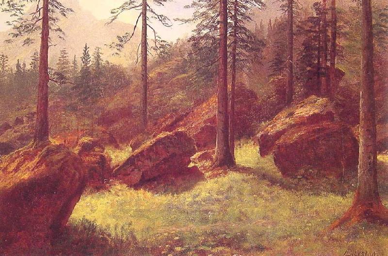 Albert Bierstadt Wooded Landscape China oil painting art